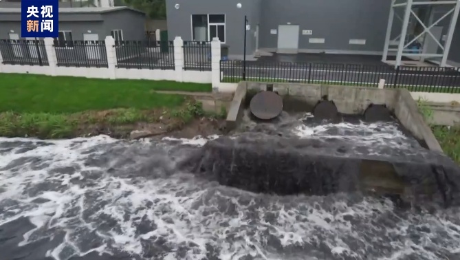 江豚惨死,剥皮毁林,这份通报触目惊心! 江豚惨死,剥皮毁林,这份通报触目惊心!