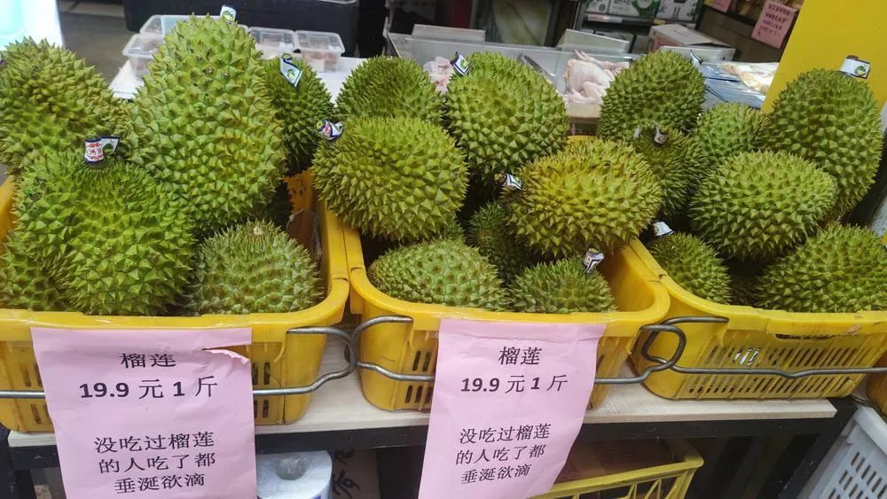 榴莲南北都能种？专家：别上当了！