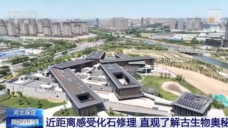 3D扫描、沉浸影像 国际博物馆日打卡清单请查收