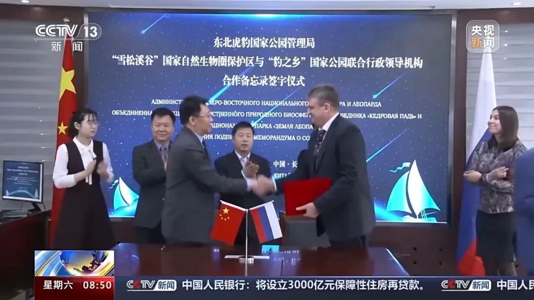 73号东北豹遇害半年后，不明身份的它来了