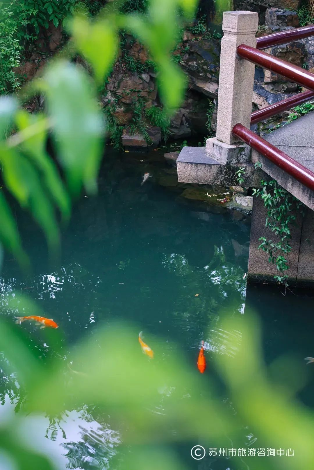 32.1℃!热到破纪录!苏州快入夏了? 32.1℃!热到破纪录!苏州快入夏了?