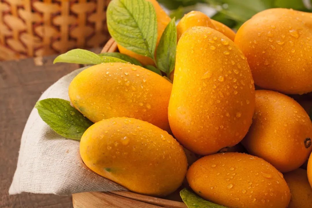 胡萝卜素是菠萝的45倍,热量比苹果还低,这种水果现在吃正好→ 胡萝卜素是菠萝的45倍,热量比苹果还低,这种水果现在吃正好→