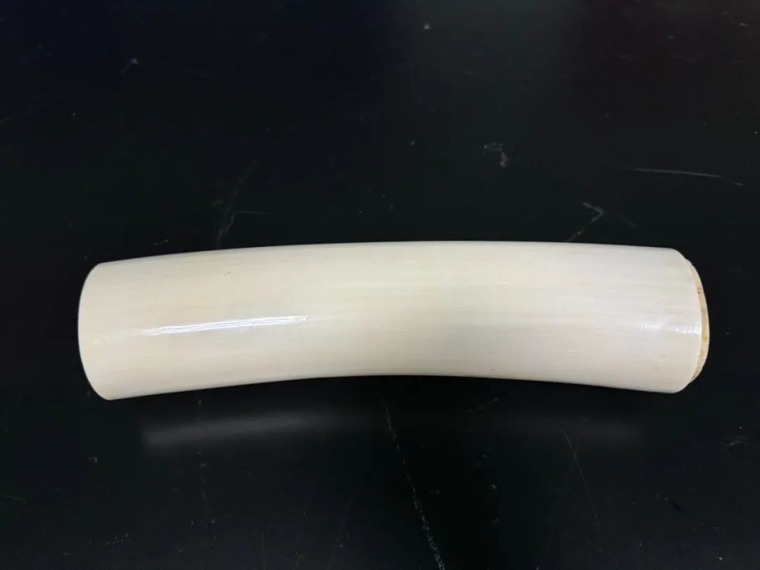 广州、深圳查获，触目惊心！