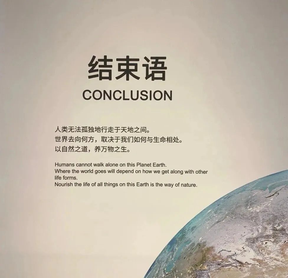 博物馆这个容易被忽视的角落，却有着独特的魅力