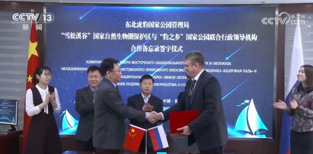 中俄联合开展巡护 我国野生东北虎、东北豹种群数量逐年增长