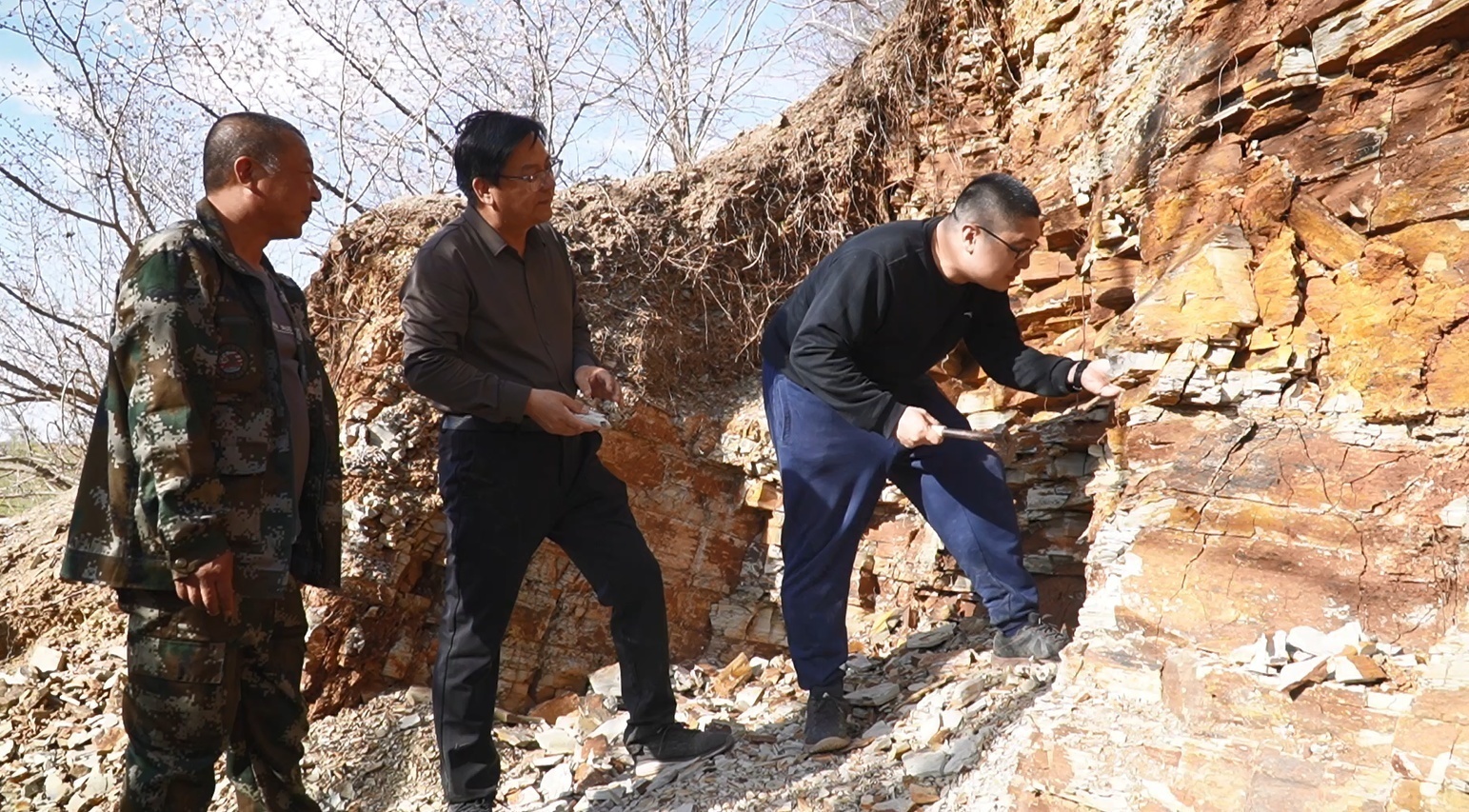 内蒙古发现优美蜓科完整化石 距今1.65亿年 内蒙古发现优美蜓科完整化石 距今1.65亿年