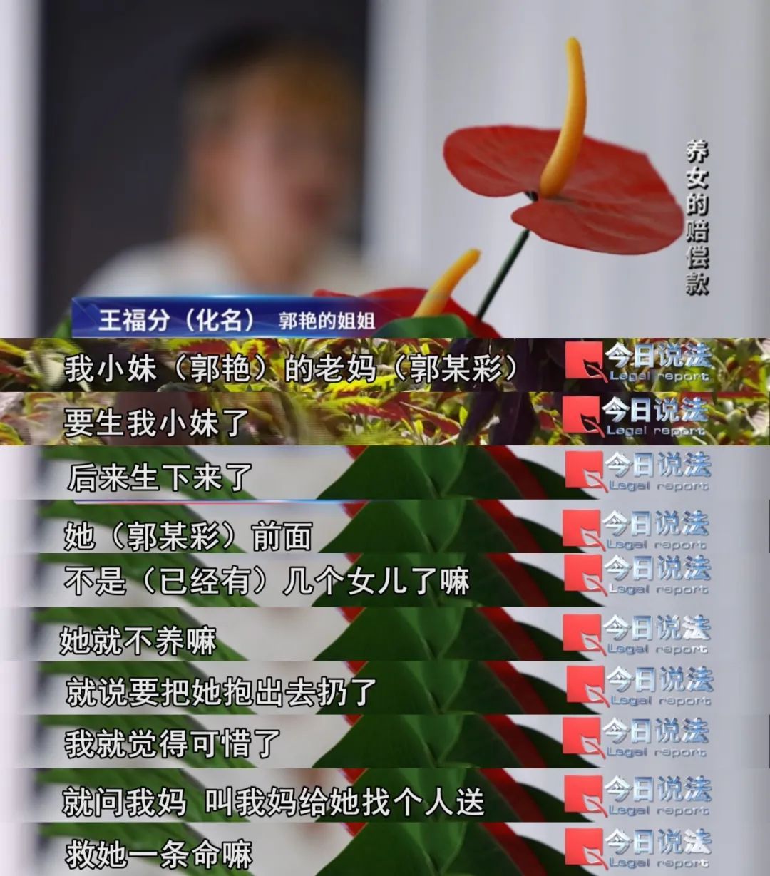 12岁女孩遭车祸不幸离世，亲生父母和养父母同时起诉索要赔偿……