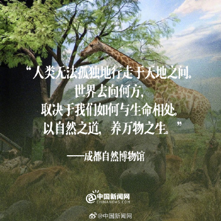 文字的力量！那些落笔即封神的博物馆结语