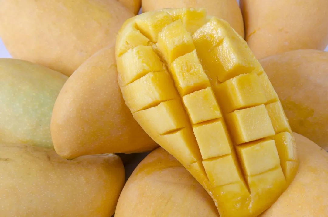 胡萝卜素是菠萝的45倍,热量比苹果还低,这种水果现在吃正好→ 胡萝卜素是菠萝的45倍,热量比苹果还低,这种水果现在吃正好→