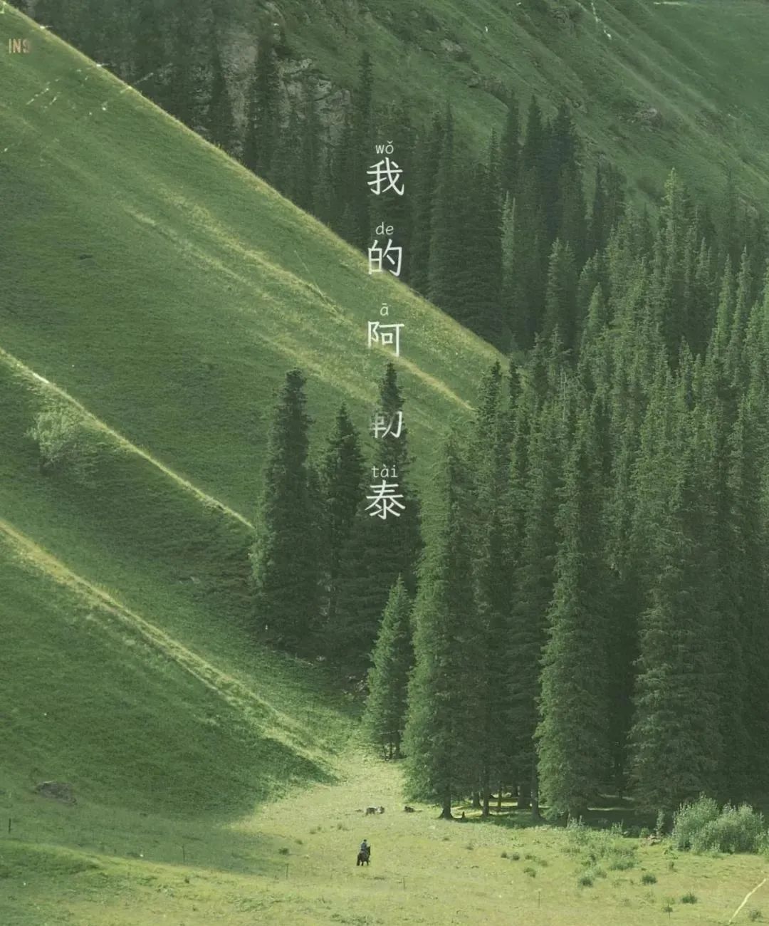 骑行7700公里！新疆小伙为何执意要去福建？