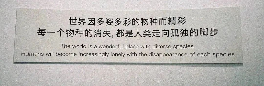 博物馆这个容易被忽视的角落，却有着独特的魅力