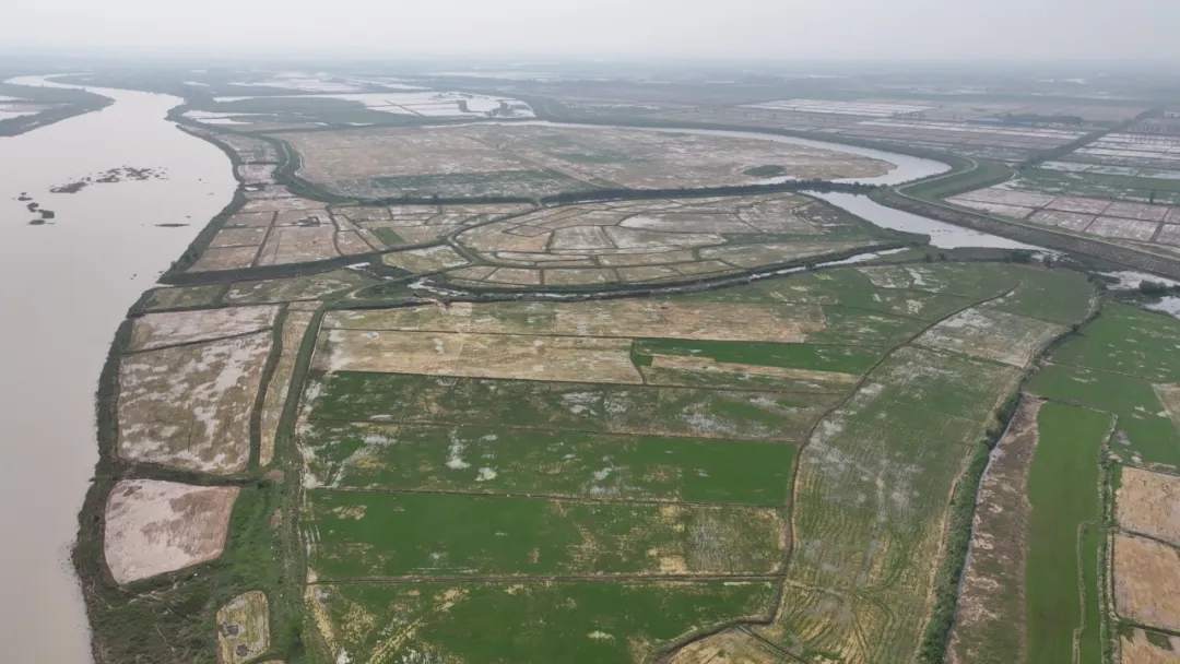 围湖造地、圈水养殖…鄱阳湖水域非法矮围何时休? 围湖造地、圈水养殖…鄱阳湖水域非法矮围何时休?