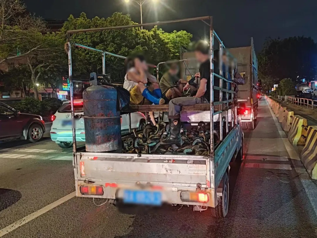佛山一货车搭人又搭鹅,还是“上下铺”!民警一看傻眼了...... 佛山一货车搭人又搭鹅,还是“上下铺”!民警一看傻眼了......