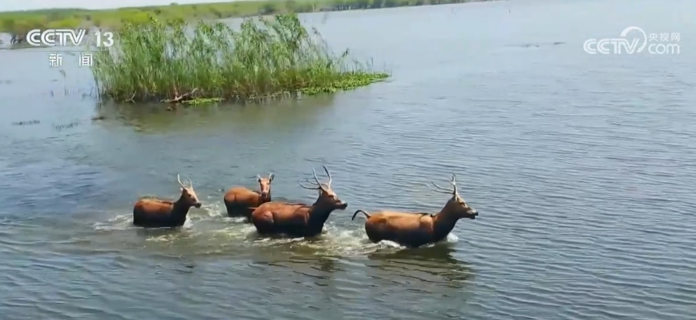 “纵”“横”结合、落实落地 我国初步建立统一规范的生态保护补偿统计体系