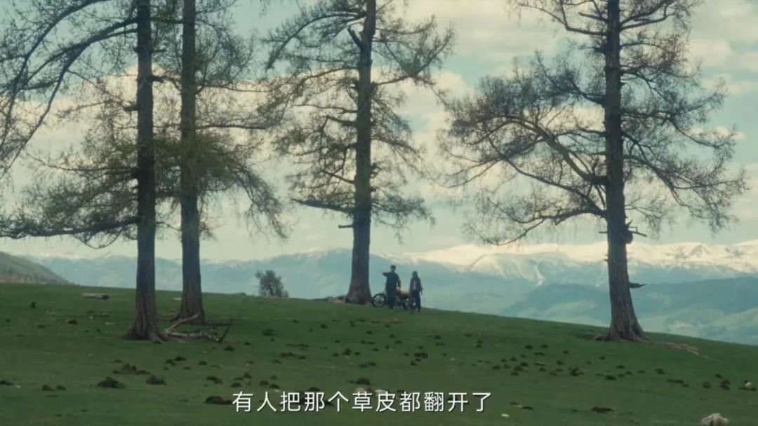 《我的阿勒泰》不止有美景，还有这些法律知识！