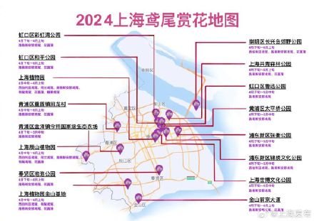 鸢尾绽放！一份上海鸢尾赏花地图请查收→