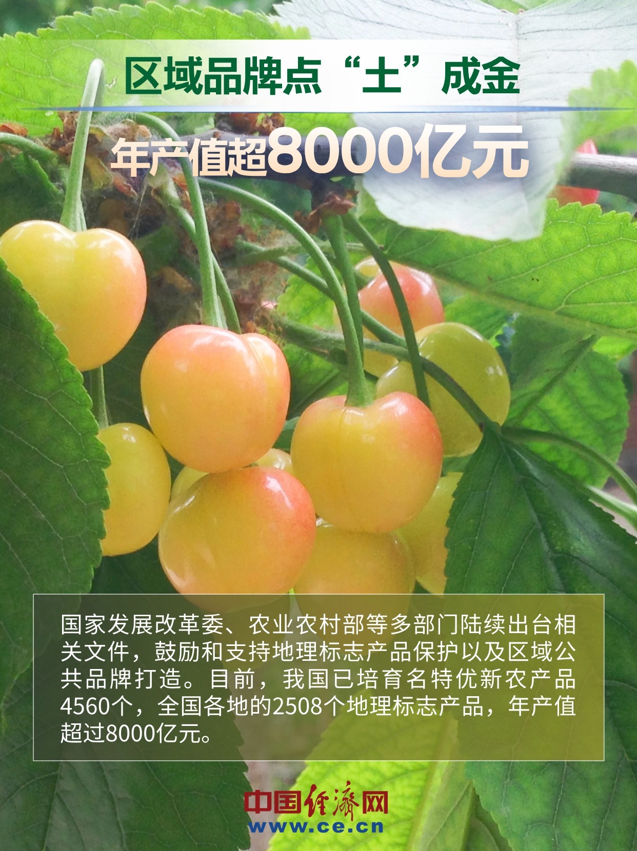 7组数据透视中国品牌新势能