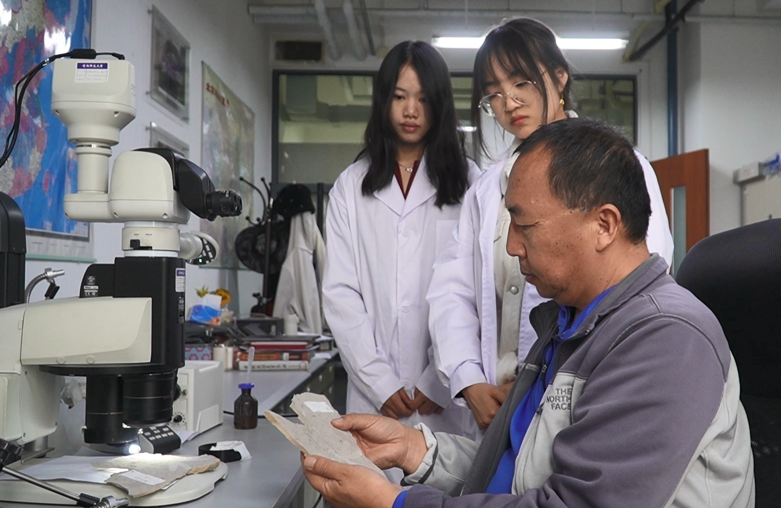 内蒙古发现优美蜓科完整化石 距今1.65亿年 内蒙古发现优美蜓科完整化石 距今1.65亿年