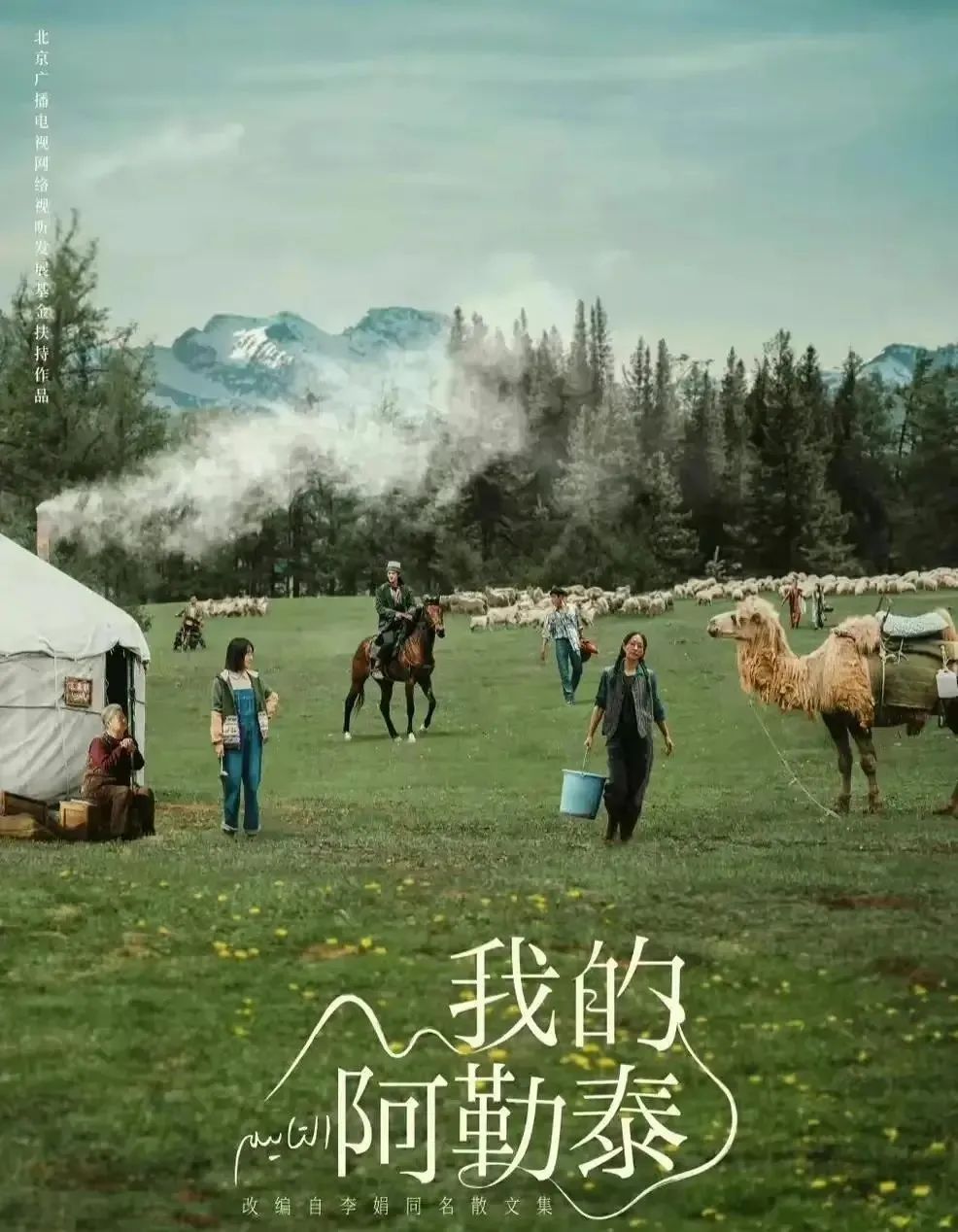 《我的阿勒泰》不止有美景，还有这些法律知识！