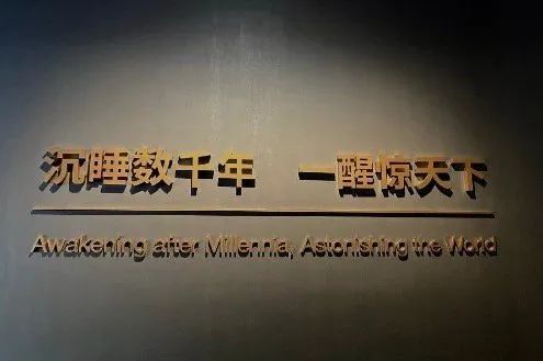 你知道吗？博物馆里有个角落，容易被忽视，却总能让人泪流满面