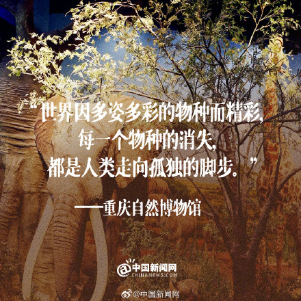 文字的力量！那些落笔即封神的博物馆结语