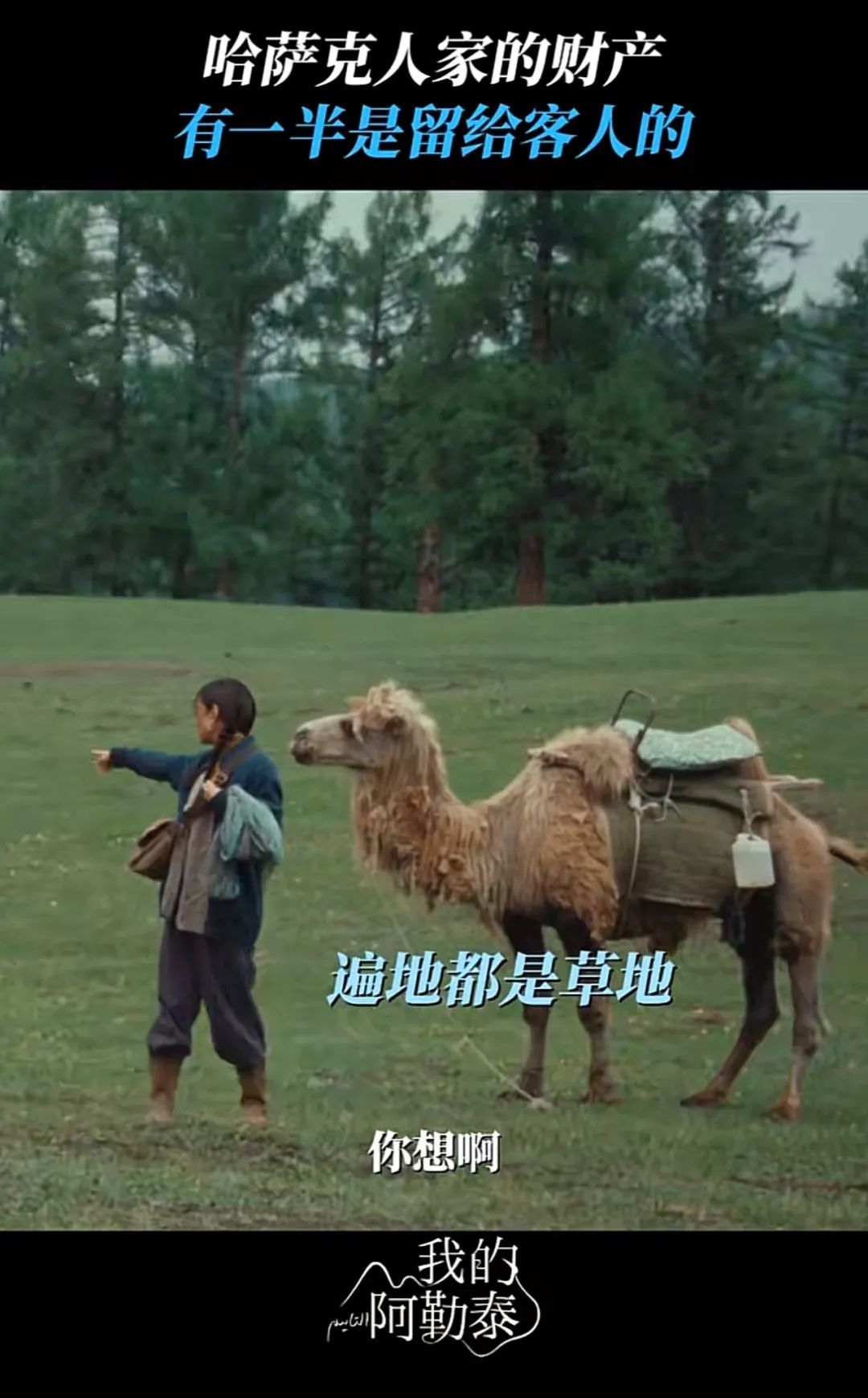 一部剧带火一座城，阿勒泰成功破圈！