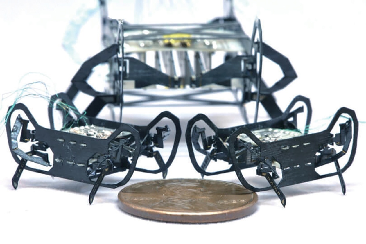 驮着一块小型电池，步态十分灵巧逼真！机器昆虫从科幻“爬”进现实