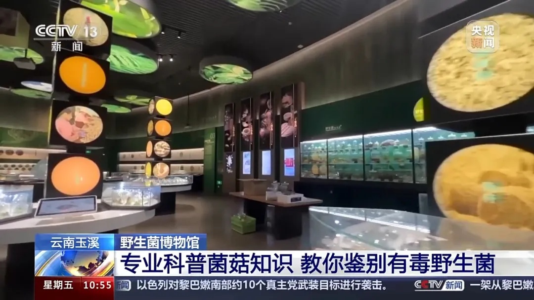 云南这东西一上市,央视都操碎了心…… 云南这东西一上市,央视都操碎了心……