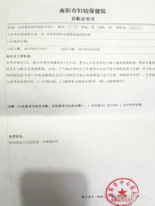调查结果公布！3岁男童被狗咬伤18天后身亡，为何接种了疫苗还是“无效”？