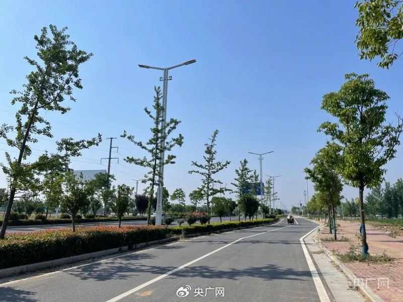 “狂犬病疫苗无法保证不感染”，调查结果公布