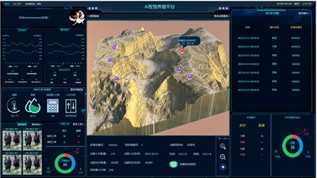 AI养大熊猫？广东“00后”大学生开发“熊脸识别”→