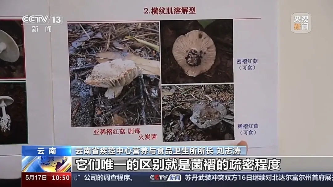 云南这东西一上市,央视都操碎了心…… 云南这东西一上市,央视都操碎了心……