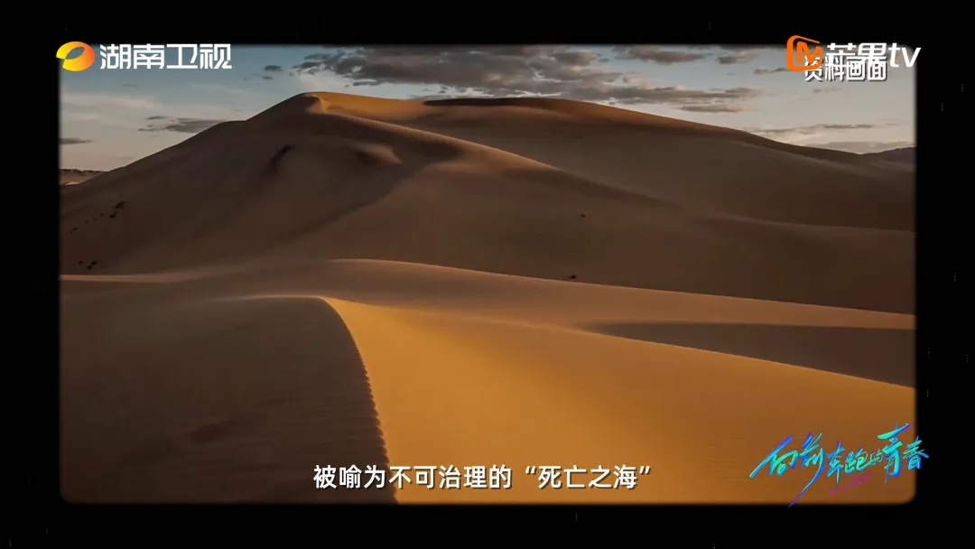 小伙在沙漠种树,造出一片蓝色的“海”! 小伙在沙漠种树,造出一片蓝色的“海”!