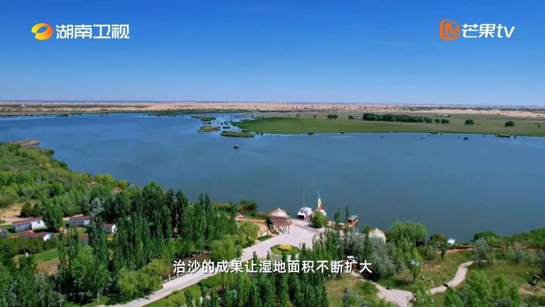 小伙在沙漠种树,造出一片蓝色的“海”! 小伙在沙漠种树,造出一片蓝色的“海”!