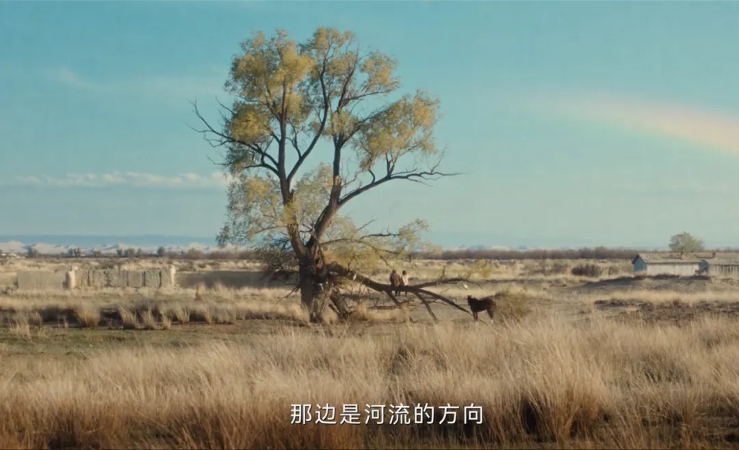 10天狂赚4亿！上海知名演员感叹“美得像场梦”，很多人已经行动→
