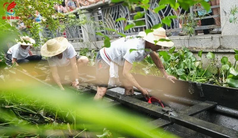 全国现存最古老龙舟！592岁盐步老龙“重出江湖”