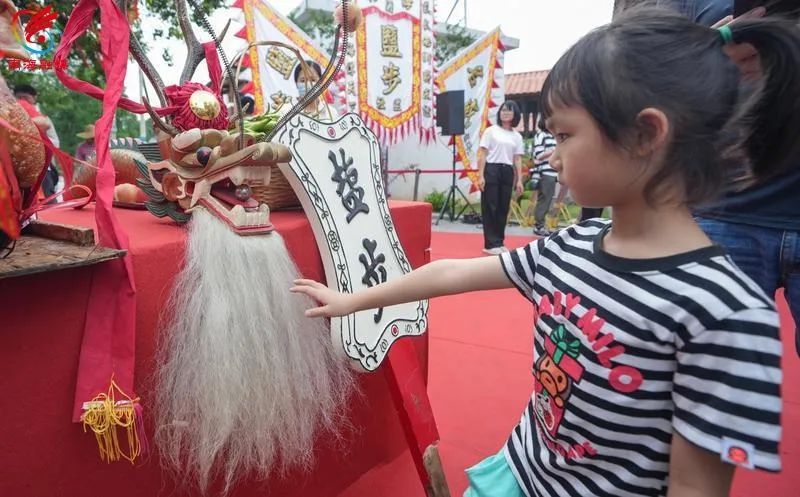 全国现存最古老龙舟！592岁盐步老龙“重出江湖”