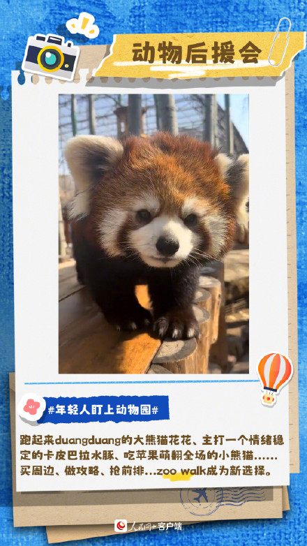 当代年轻人花式旅游图鉴 当代年轻人花式旅游图鉴