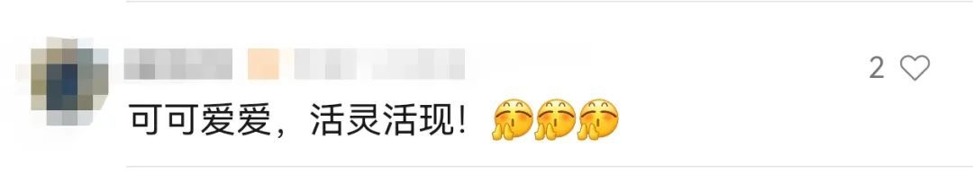 这是开幕式还是阅兵式?“一听见口号就热血沸腾了!” 这是开幕式还是阅兵式?“一听见口号就热血沸腾了!”