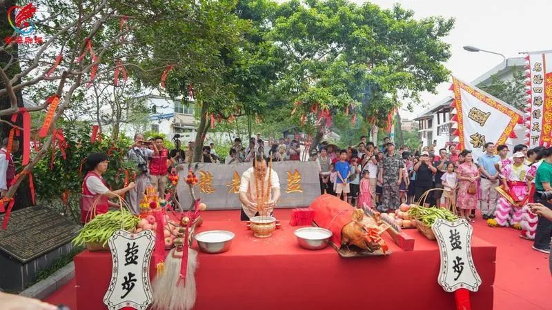 全国现存最古老龙舟！592岁盐步老龙“重出江湖”