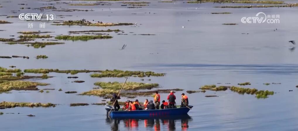 尕海湿地生态环境持续改善 候鸟蹁跹描绘诗意夏日美景