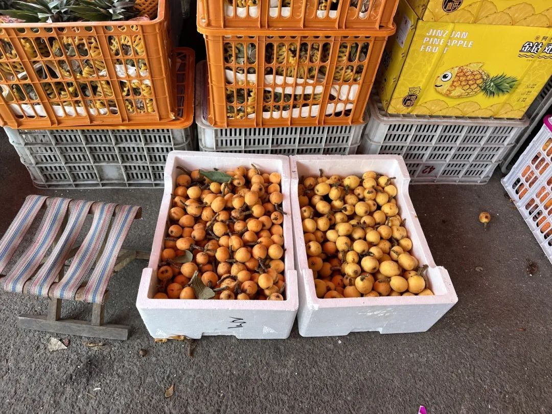 正大量上市，不少杭州人都爱吃！