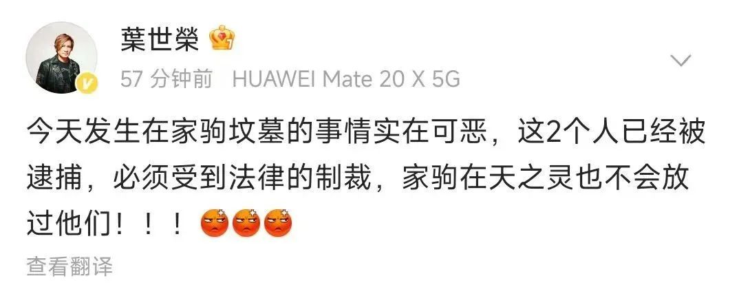 突发！黄家驹墓碑遭涂污，两人被拘！