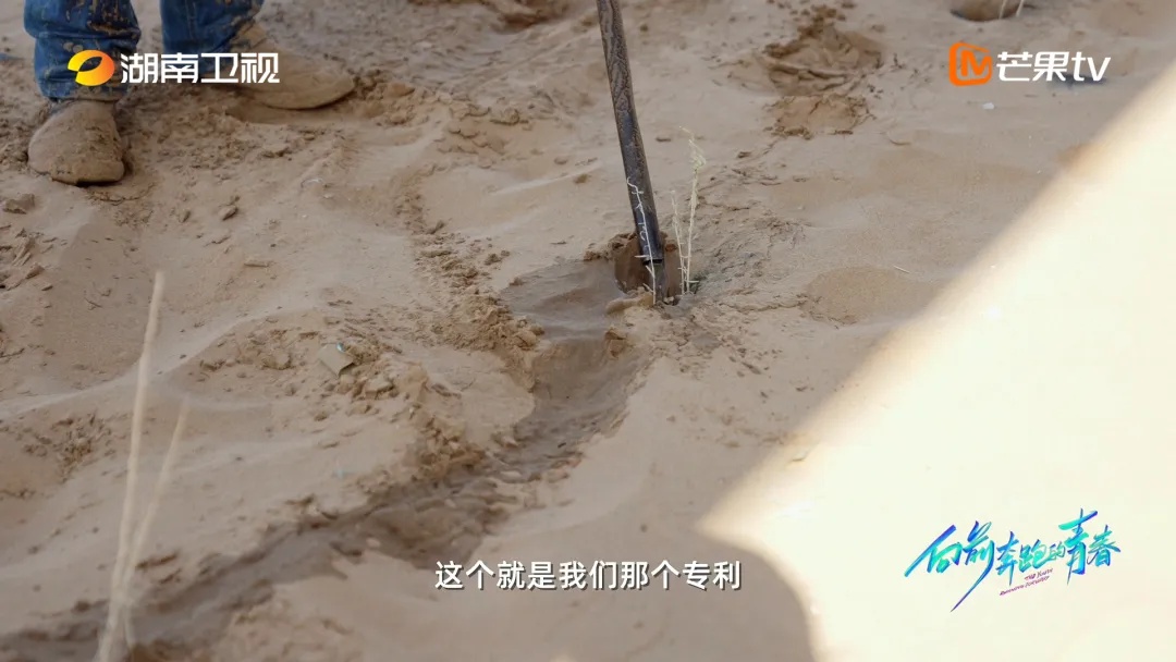 小伙在沙漠种树,造出一片蓝色的“海”! 小伙在沙漠种树,造出一片蓝色的“海”!