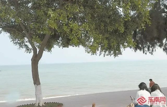 看海的季节到了！福建这些“绝美”海滩，你去过几个？