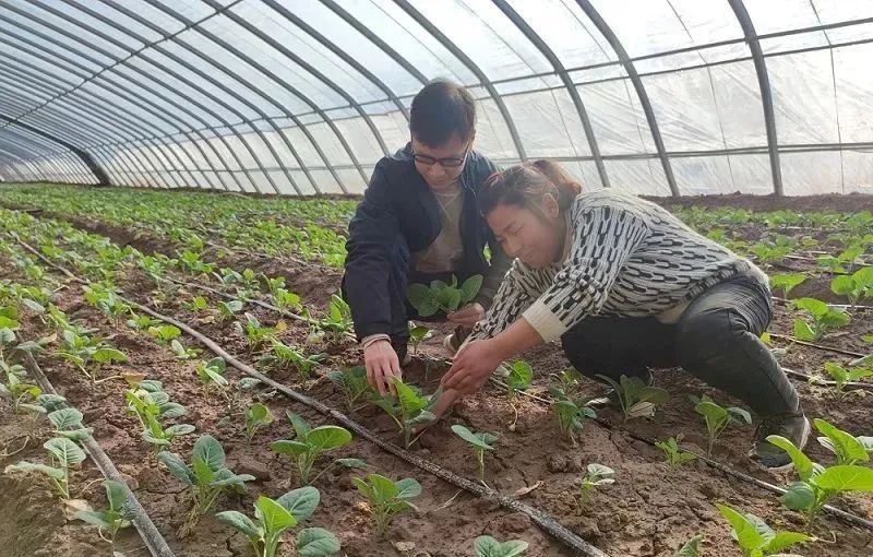 看完《我的阿勒泰》，想去新疆的心情达到顶峰！