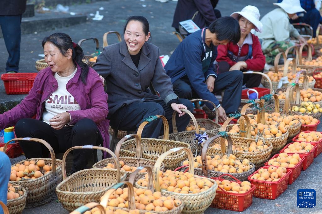 安徽黄山三潭枇杷成熟上市 安徽黄山三潭枇杷成熟上市