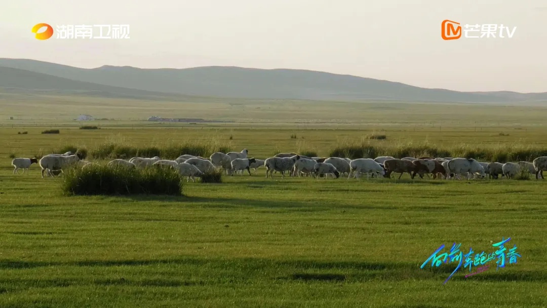 小伙在沙漠种树,造出一片蓝色的“海”! 小伙在沙漠种树,造出一片蓝色的“海”!