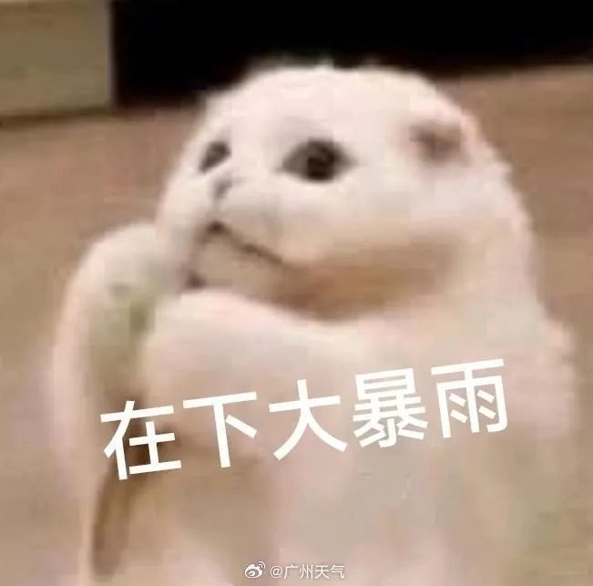 “懵了！”广东人要挑战暴雨上班30天？气象部门回应