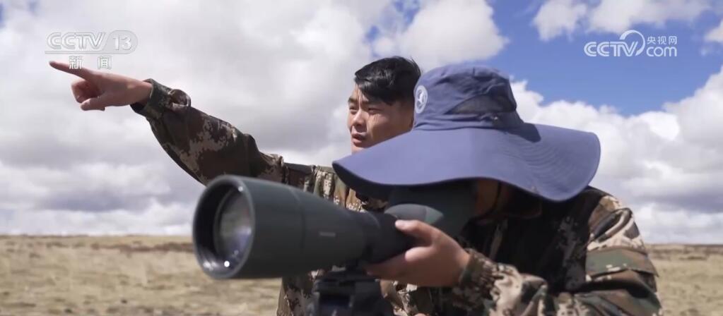 尕海湿地生态环境持续改善 候鸟蹁跹描绘诗意夏日美景